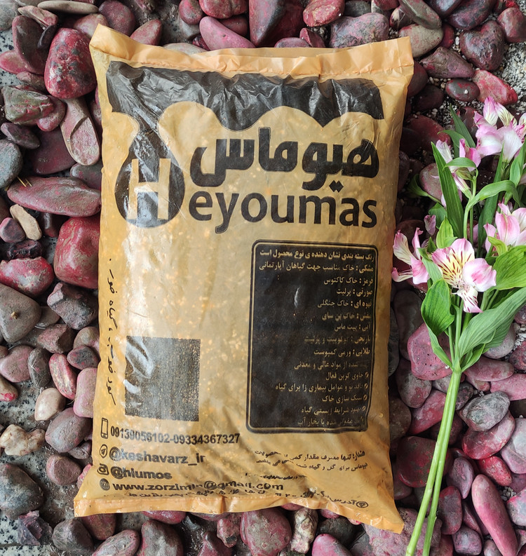 خاک برگ کوچک